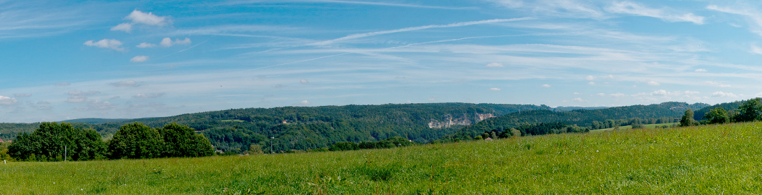 Blick auf eine grüne Wiese und einen blauen Himmel oberhalb von der Elbe