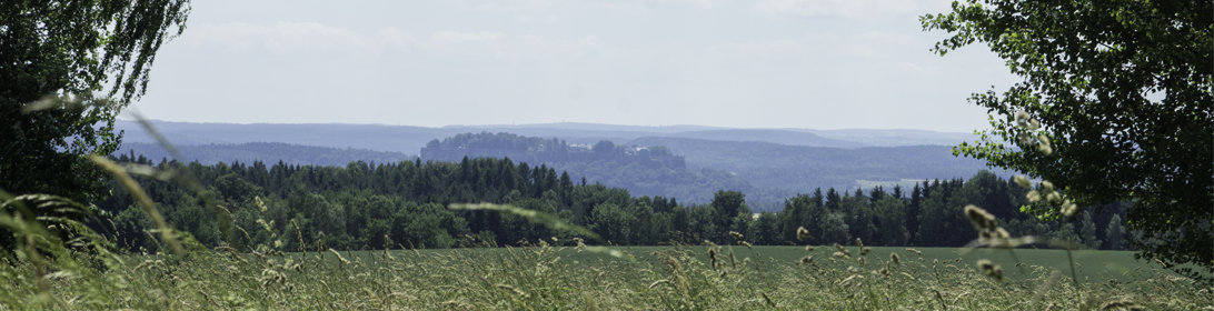 Blick zum Königstein