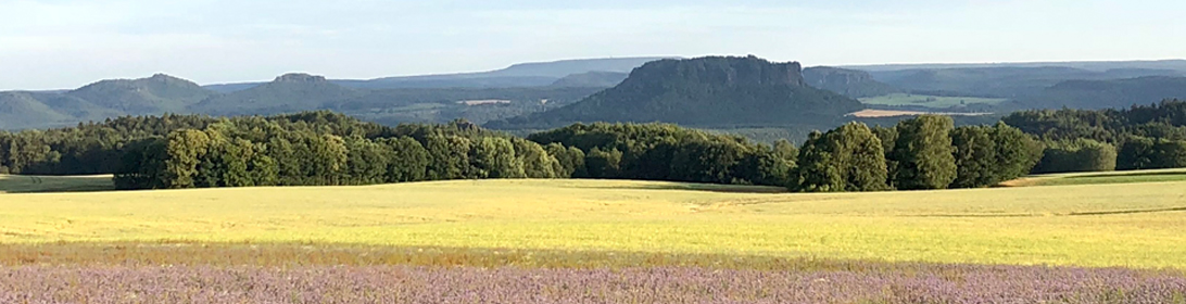 Blick zu Lilienstein und Königstein